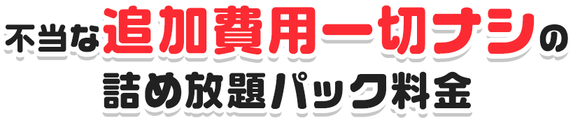 不当な追加費用一切ナシの詰め放題パック料金